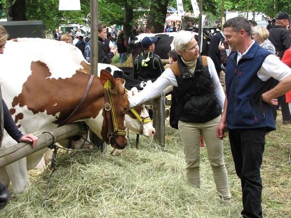 Kreistierschau auf dem Stünzel