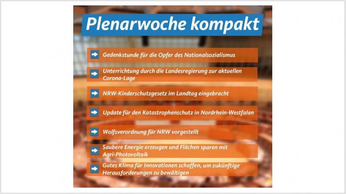 Plenarwoche im Januar