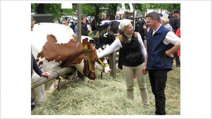 Kreistierschau auf dem Stünzel